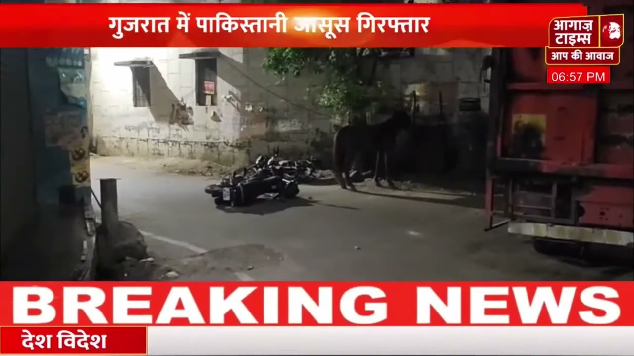 लखनऊ में बेकाबू घोड़े ने मचाया आतंक, कई घायल; घंटों मशक्कत के बाद पकड़ा गया